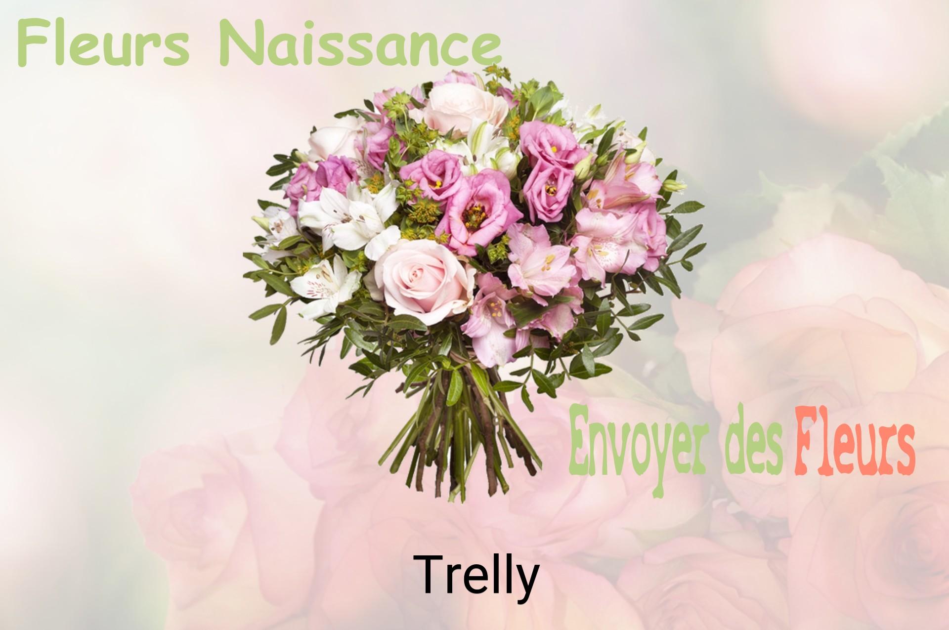 Bouquet de fleurs de naissance livré à Trelly